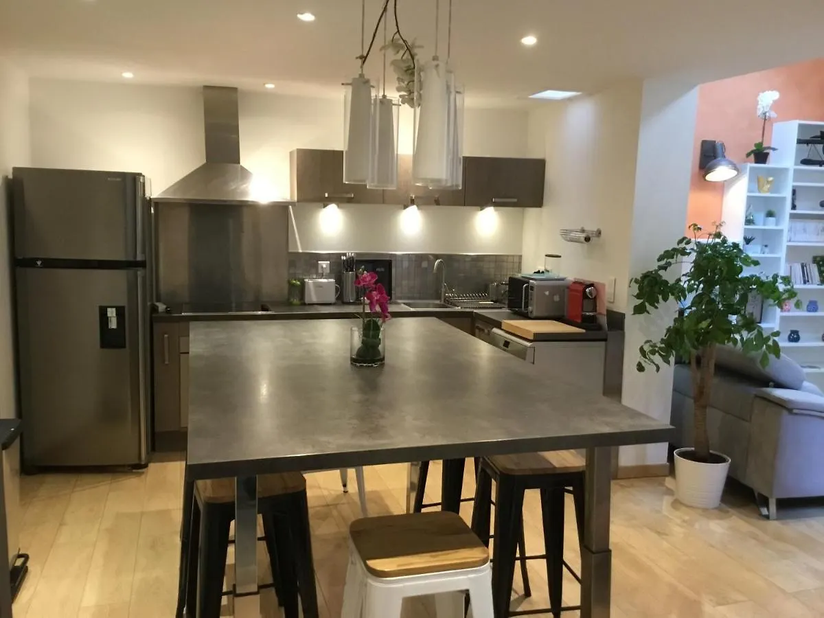 Duplex Moderne Au Palais Des Papes Apartment Avignon France